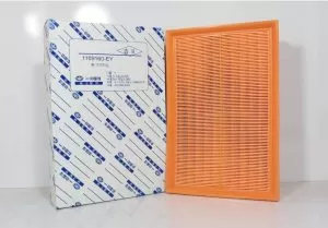 1109160EYc 300x209,فیلتر هوا بسترن B30,BESTURN FILTERاتوکالا Autokala