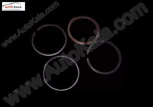 372 1DE1004030CA,رينگ موتور25 110 mvm,MVM 110اتوکالا Autokala