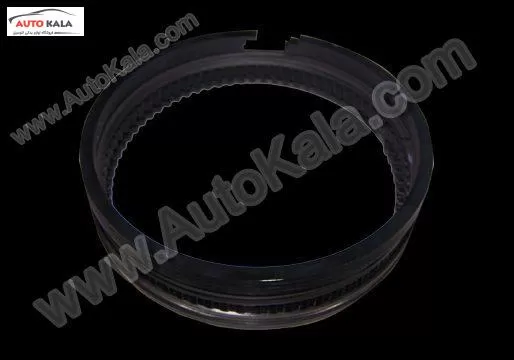 484J 1004030BA 001,رينگ موتور 0/25 -530 mvm,اتوکالا Autokala