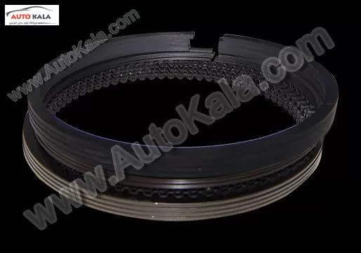484J 1004030CA 1,رينگ موتور 530 mvm,اتوکالا Autokala