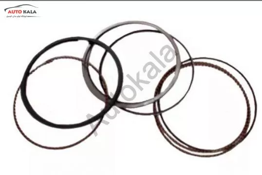 1004030GG010ZJ 538x360,رینگ پیستون جک J3,اتوکالا Autokala