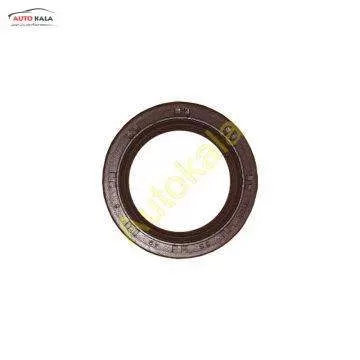 LF479Q1 1006011A 360x360,کاسه نمد میل سوپاپ لیفان 520 lifan,اتوکالا Autokala