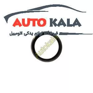 پیستون جک JAC J5 Piston RING for JAC J5 S1004L21153 50006 300x300,رینگ پیستون جک JAC J5,jacاتوکالا Autokala