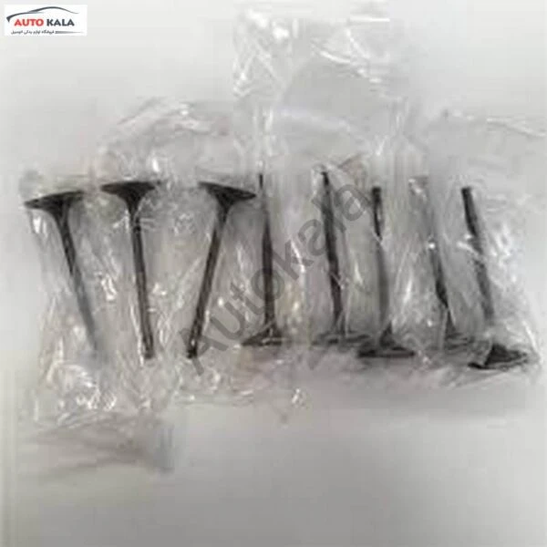 1003012GG0101,سوپاپ جک J3,اتوکالا Autokala