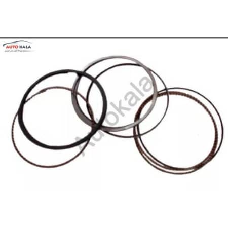 1004030GG010ZJ,گلگیر جلو چپ جک j3,اتوکالا Autokala