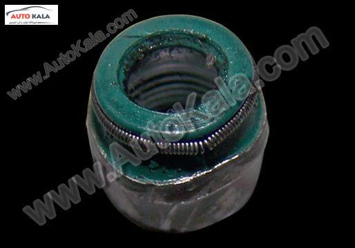 481H 1007020,لاستيك ساق سوپاپ 530 mvm,اتوکالا Autokala