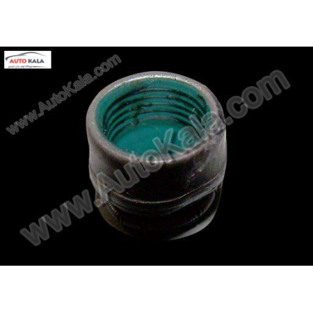 481H 1007020 001,لاستيك ساق سوپاپ 530 mvm,اتوکالا Autokala