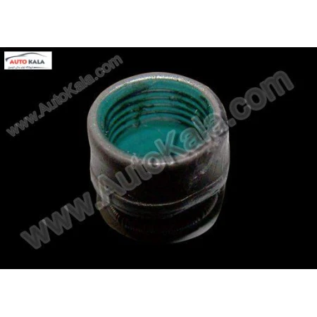 481H 1007020 001,لاستيك ساق سوپاپ 530 mvm,اتوکالا Autokala