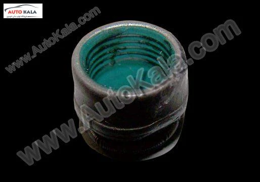 481H 1007020 001,لاستيك ساق سوپاپ 530 mvm,اتوکالا Autokala