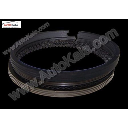 484J 1004030CA,رينگ موتور 0/50 -530 mvm,اتوکالا Autokala