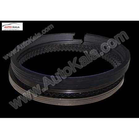 484J 1004030CA,رينگ موتور 0/50  530 mvm,اتوکالا Autokala