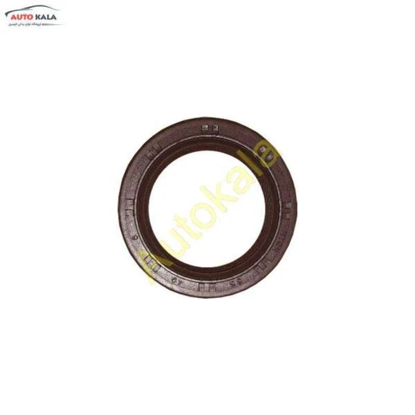 LF479Q1 1006011A,شمع موتور لیفان 520 lifan,اتوکالا Autokala