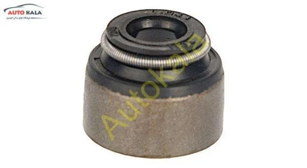 LF479Q1 1007017A,لاستیک ساق سوپاپ لیفان 520 lifan,اتوکالا Autokala