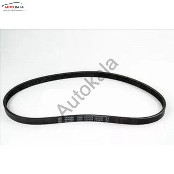 LF479Q1 1025015A F1,پمپ بنزین لیفان X50,اتوکالا Autokala