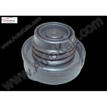 درب باك بنزين 110 mvm S11 1103010 001 S11 1103010 001,درب باك بنزين 110 mvm,MVM 110اتوکالا Autokala
