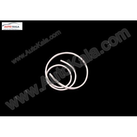 S11 5402111CA,نوار دور درب جلو چپ 110 mvm,MVM 110اتوکالا Autokala