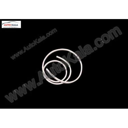 S11 5402111CA,نوار دور درب جلو چپ 110 mvm,MVM 110اتوکالا Autokala