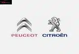 فیلتر هوا پژو PEUGEOT AIR FILTER
