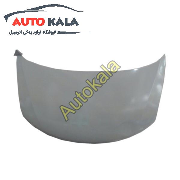 درب موتور اریو Z300 اتوکالا Autokala