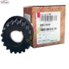 دنده تایم سر میل لنگ برای ایکس tiggo 2/x22 ۲۲ Crankshaft gear 480 1005051BA Chery 1 دنده تایم سر میل لنگ برای ایکس ۲۲ Crankshaft gear 480 1005051BA Chery 1 دنده تایم سر میل لنگ برای ایکس ۲۲,دنده تایم سر میل لنگ برای ایکس tiggo 2/x22 ۲۲,اتوکالا Autokala