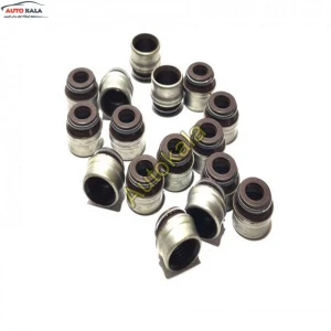 Oil scraper caps set 16 pcs 481H 1007020 1 کاسه نمد میل سوپاپ برای ایکس ۵۵ پرو,لاستیک ساق سوپاپ برای ایکس ۵۵ پرو X55pro,چری ایکس ۵۵ پرو CHERY X55 PROاتوکالا Autokala