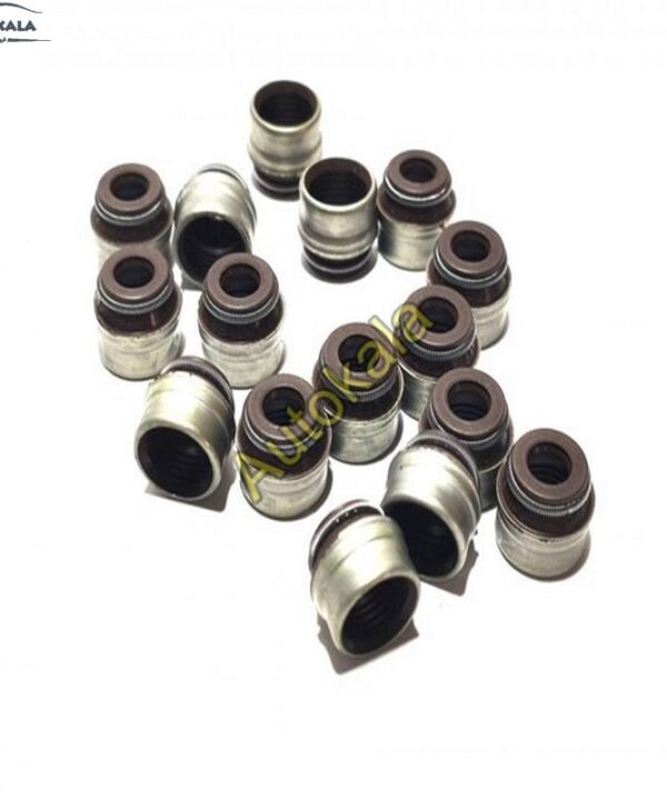 Oil scraper caps set 16 pcs 481H 1007020 1 کاسه نمد میل سوپاپ برای ایکس ۵۵ پرو,لاستیک ساق سوپاپ برای ایکس ۵۵ پرو X55pro,چری ایکس ۵۵ پرو CHERY X55 PROاتوکالا Autokala