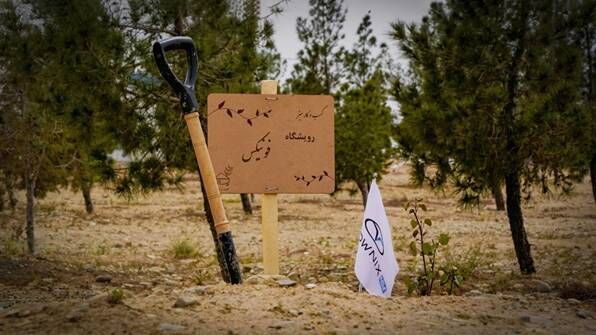 81994,رویشگاه فونیکس با مشارکت مردم احداث شد,اتوکالا Autokala