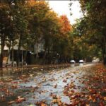 87686.Jpg,خیابان؛ بارزترین نشانه بافت شهری,اتوکالا Autokala