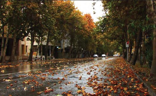 87686.Jpg,خیابان؛ بارزترین نشانه بافت شهری,اتوکالا Autokala